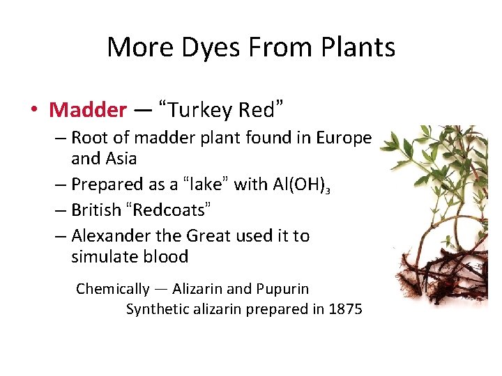 More Dyes From Plants • Madder — “Turkey Red” – Root of madder plant