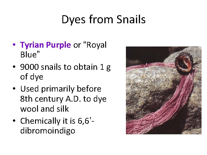 Dyes from Snails • Tyrian Purple or “Royal Blue” • 9000 snails to obtain