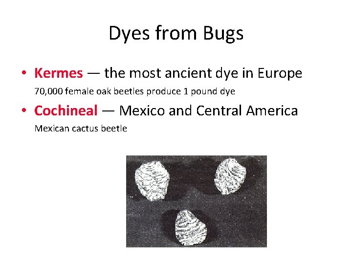 Dyes from Bugs • Kermes — the most ancient dye in Europe 70, 000