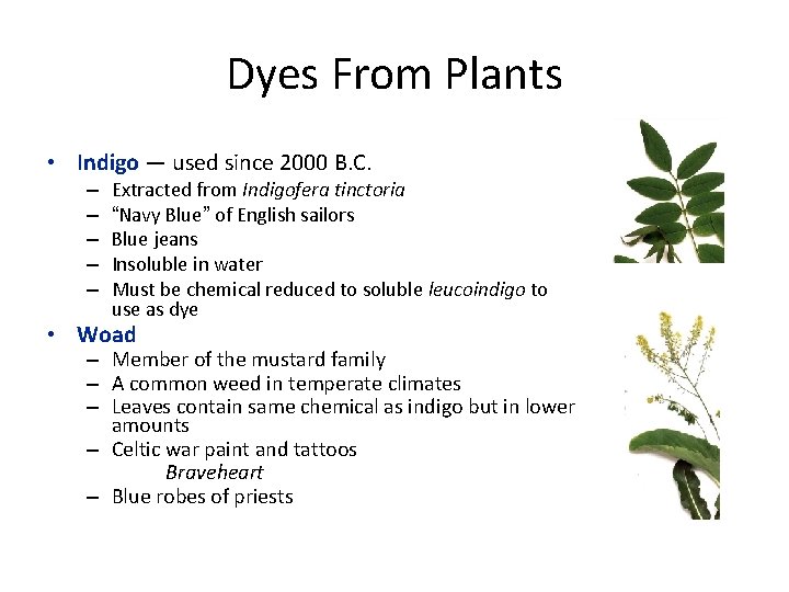 Dyes From Plants • Indigo — used since 2000 B. C. – – –