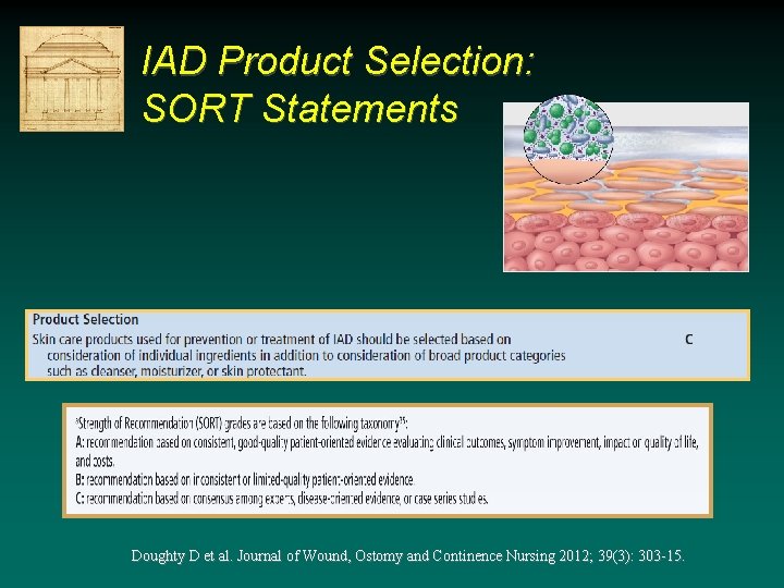 IAD Product Selection: SORT Statements Doughty D et al. Journal of Wound, Ostomy and IAD Product Selection: SORT Statements Doughty D et al. Journal of Wound, Ostomy and