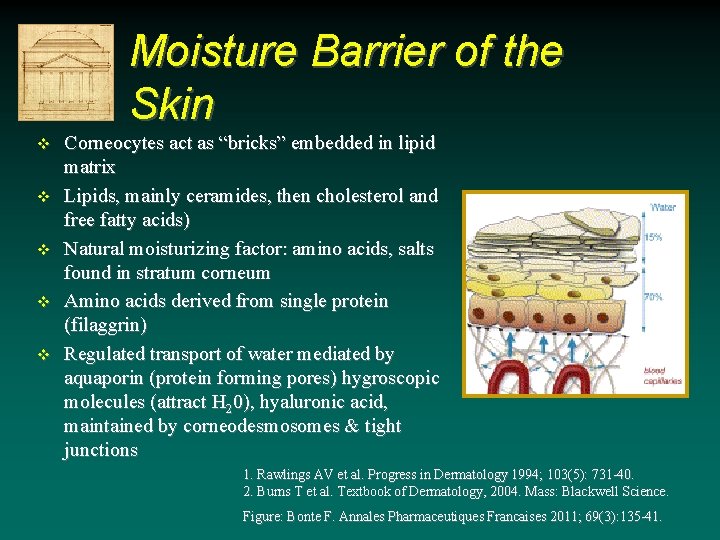 Moisture Barrier of the Skin v v v Corneocytes act as “bricks” embedded in Moisture Barrier of the Skin v v v Corneocytes act as “bricks” embedded in