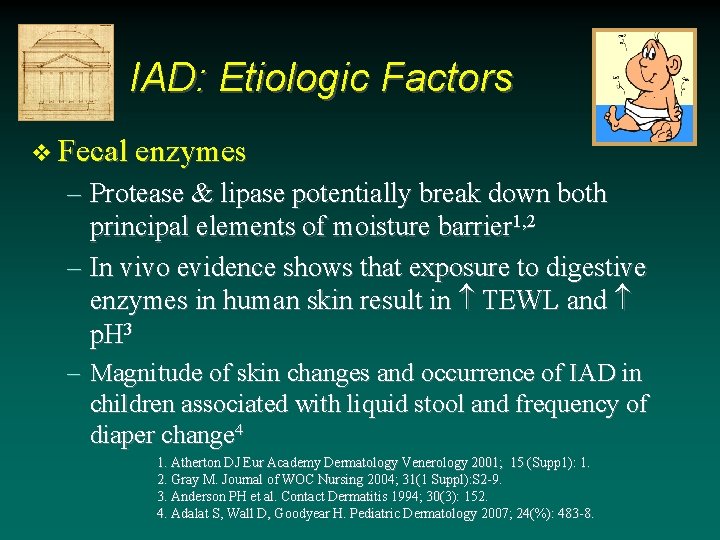 IAD: Etiologic Factors v Fecal enzymes – Protease & lipase potentially break down both IAD: Etiologic Factors v Fecal enzymes – Protease & lipase potentially break down both