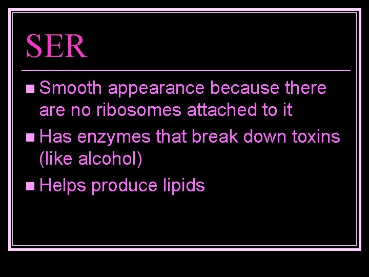 SER n Smooth appearance because there are no ribosomes attached to it n Has