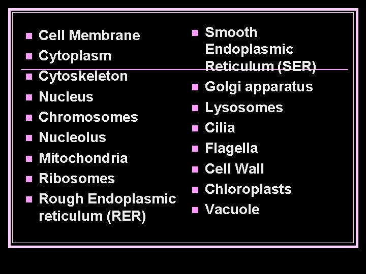 n n n n n Cell Membrane Cytoplasm Cytoskeleton Nucleus Chromosomes Nucleolus Mitochondria Ribosomes