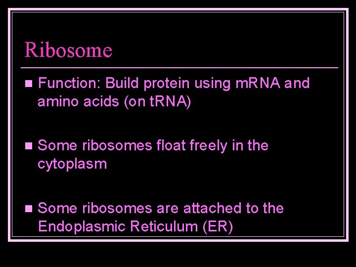 Ribosome n Function: Build protein using m. RNA and amino acids (on t. RNA)