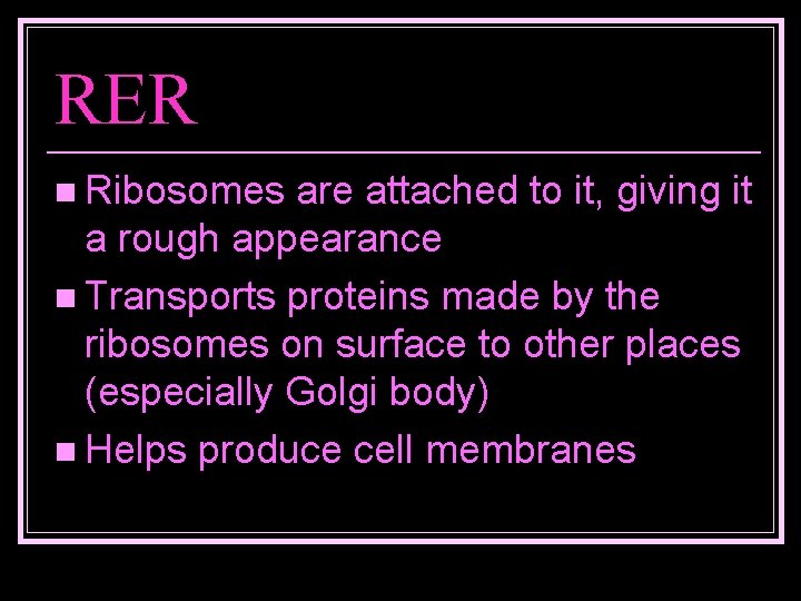 RER n Ribosomes are attached to it, giving it a rough appearance n Transports