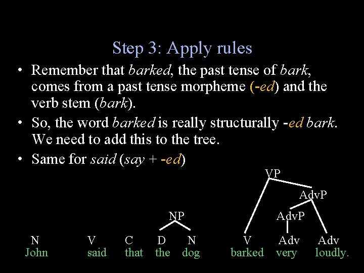 Step 3: Apply rules • Remember that barked, the past tense of bark, comes