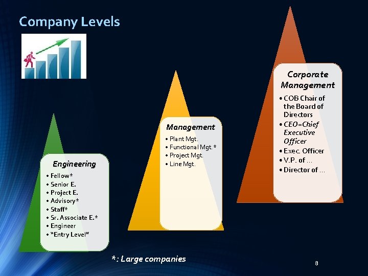 Company Levels Corporate Management Engineering • Plant Mgt. • Functional Mgt. * • Project