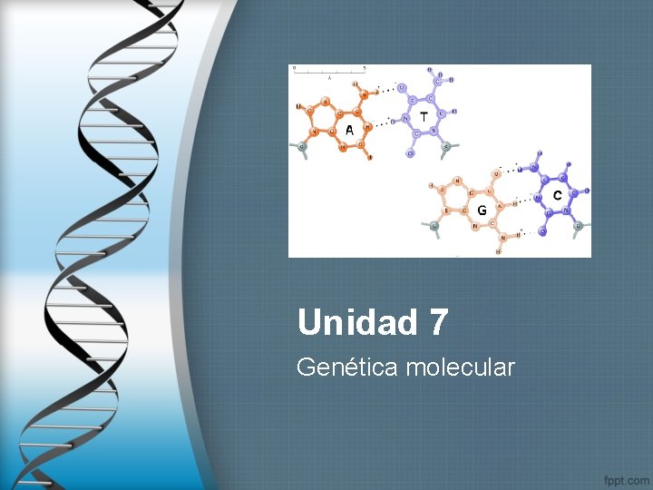 Unidad 7 Genética molecular 