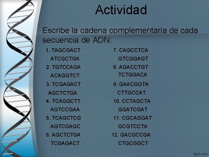 Actividad Escribe la cadena complementaria de cada secuencia de ADN: 1. TAGCGACT 7. CAGCCTCA