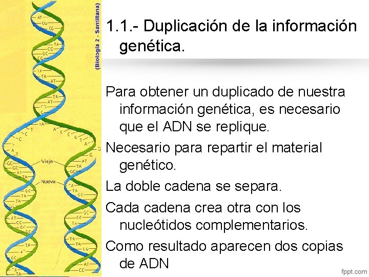 1. 1. - Duplicación de la información genética. Para obtener un duplicado de nuestra