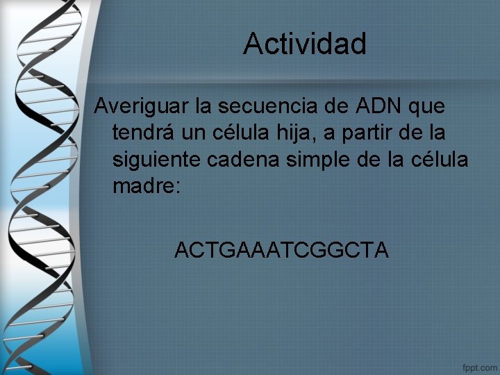 Actividad Averiguar la secuencia de ADN que tendrá un célula hija, a partir de