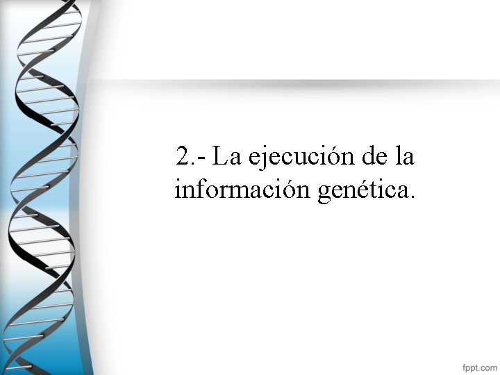 2. - La ejecución de la información genética. 