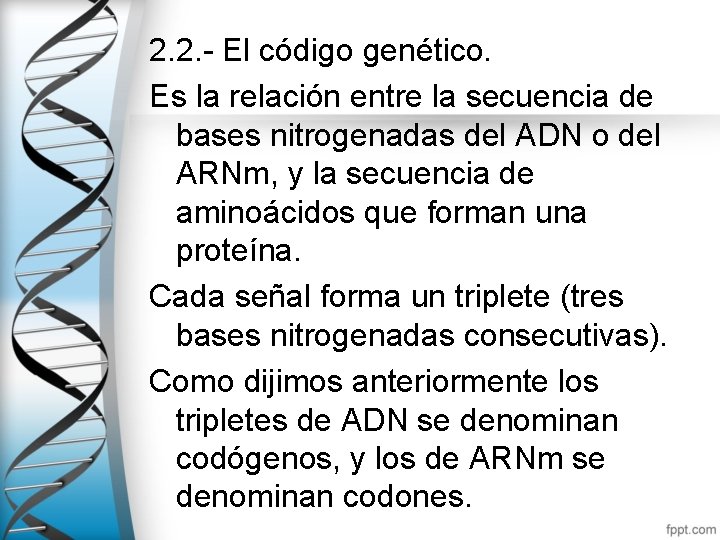 2. 2. - El código genético. Es la relación entre la secuencia de bases