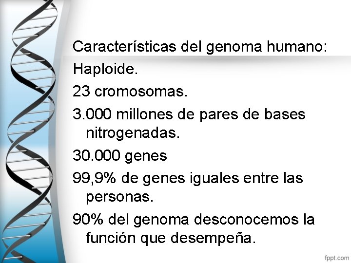 Características del genoma humano: Haploide. 23 cromosomas. 3. 000 millones de pares de bases