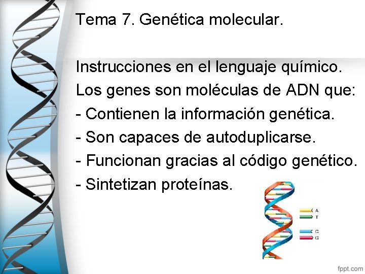 Tema 7. Genética molecular. Instrucciones en el lenguaje químico. Los genes son moléculas de