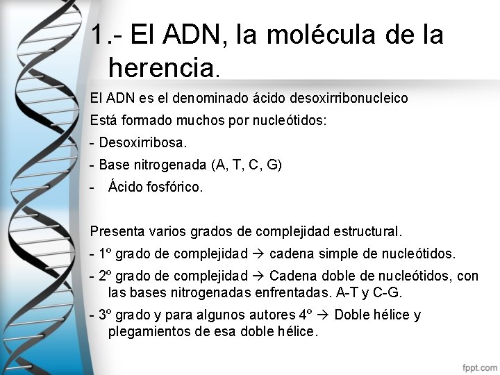 1. - El ADN, la molécula de la herencia. El ADN es el denominado