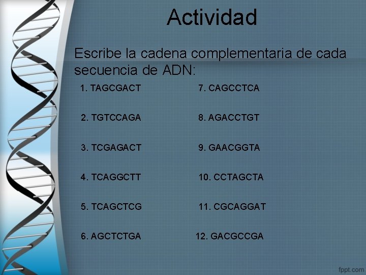 Actividad Escribe la cadena complementaria de cada secuencia de ADN: 1. TAGCGACT 7. CAGCCTCA