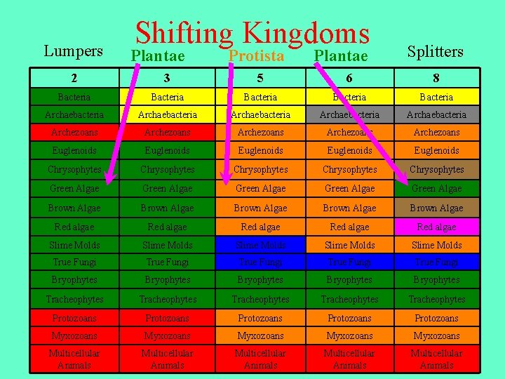 Lumpers Shifting Kingdoms Plantae Protista Plantae Splitters 2 3 5 6 8 Bacteria Bacteria