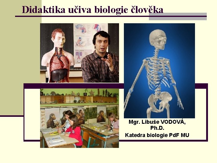 Didaktika učiva biologie člověka Mgr. Libuše VODOVÁ, Ph. D. Katedra biologie Pd. F MU
