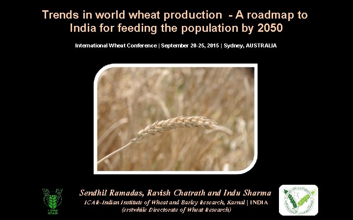 Trends in world wheat production - A roadmap to India for feeding the population