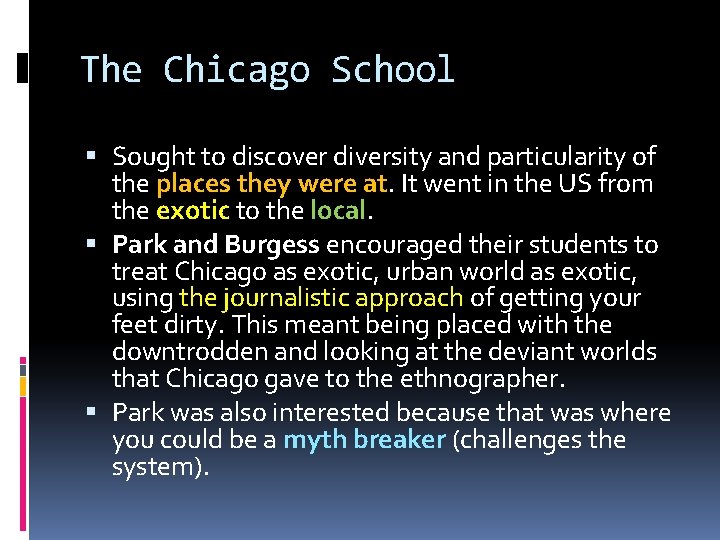 The Chicago School Sought to discover diversity and particularity of the places they were