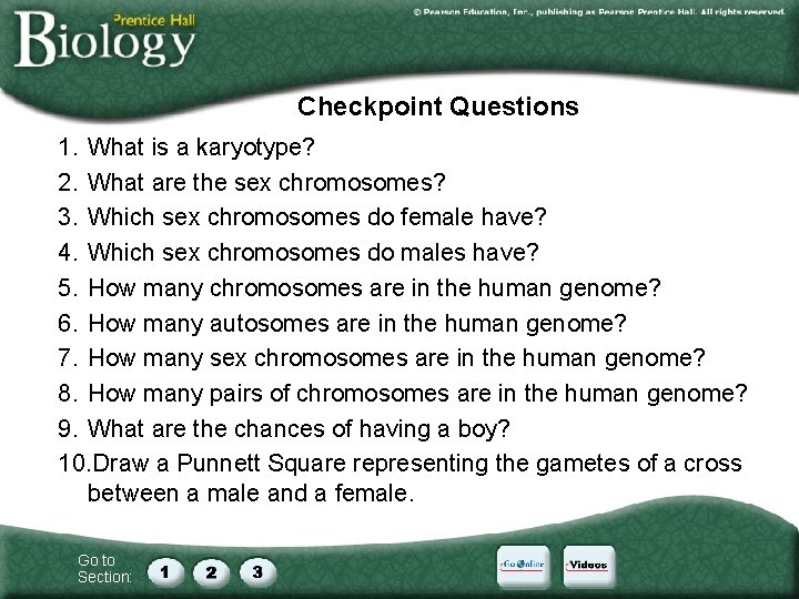 Checkpoint Questions 1. What is a karyotype? 2. What are the sex chromosomes? 3.