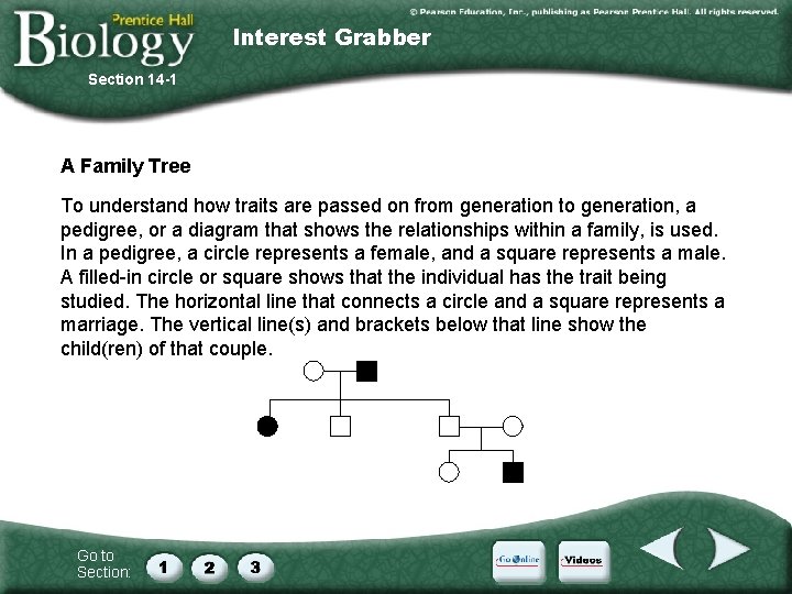 Interest Grabber Section 14 -1 A Family Tree To understand how traits are passed