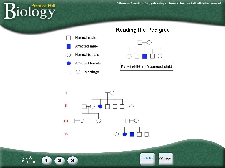 Go to Section: Reading the Pedigree 