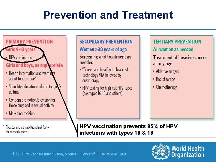 Prevention and Treatment HPV vaccination prevents 95% of HPV infections with types 16 &