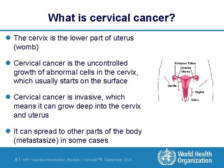 What is cervical cancer? l The cervix is the lower part of uterus (womb)