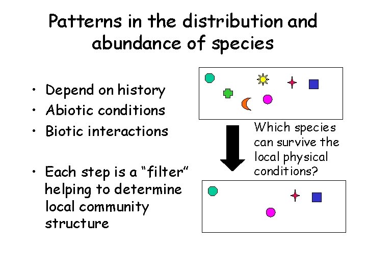 Patterns in the distribution and abundance of species • Depend on history • Abiotic