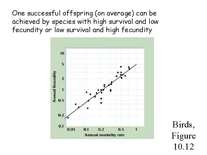 One successful offspring (on average) can be achieved by species with high survival and