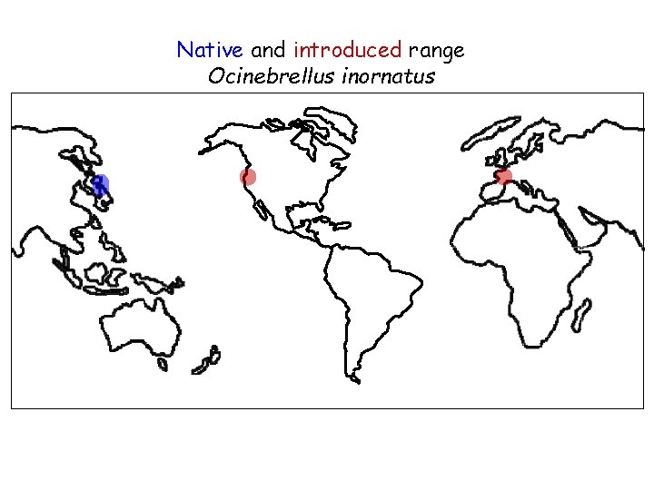 Native and introduced range Ocinebrellus inornatus 