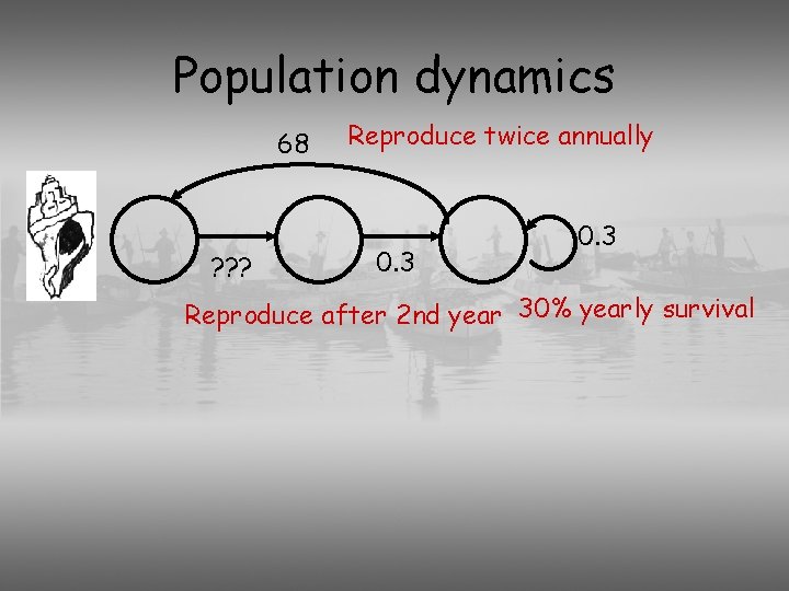 Population dynamics 68 ? ? ? Reproduce twice annually 0. 3 Reproduce after 2