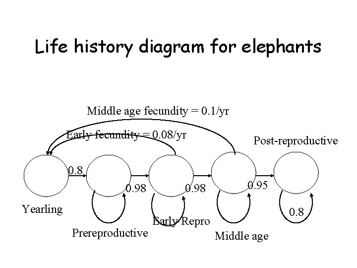 Life history diagram for elephants Middle age fecundity = 0. 1/yr Early fecundity =