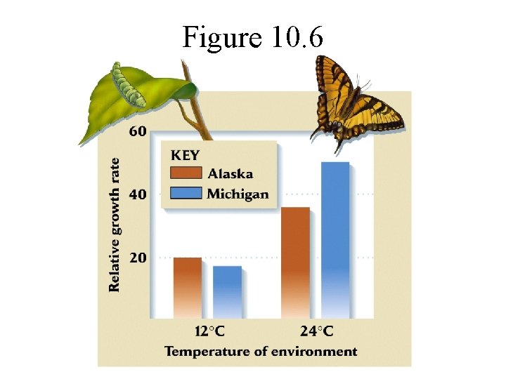 Figure 10. 6 