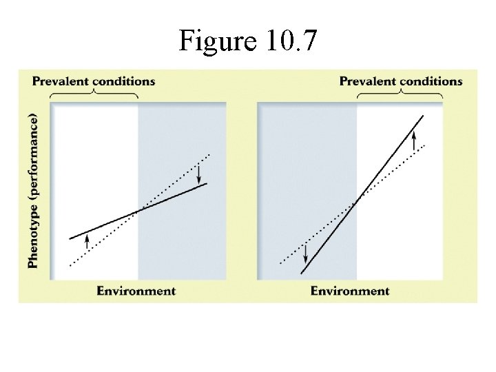 Figure 10. 7 