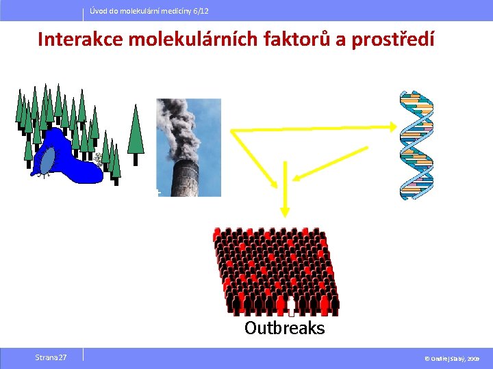 Úvod do molekulární medicíny 6/12 Interakce molekulárních faktorů a prostředí Environment Susceptibility genes Outbreaks