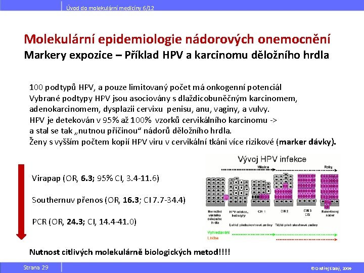 Úvod do molekulární medicíny 6/12 Molekulární epidemiologie nádorových onemocnění Markery expozice – Příklad HPV
