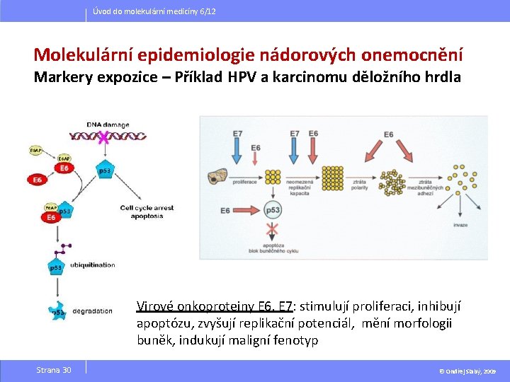 Úvod do molekulární medicíny 6/12 Molekulární epidemiologie nádorových onemocnění Markery expozice – Příklad HPV