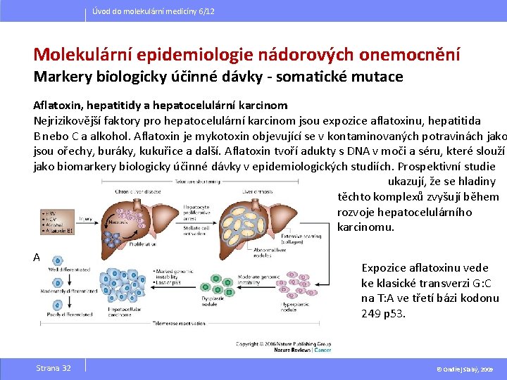 Úvod do molekulární medicíny 6/12 Molekulární epidemiologie nádorových onemocnění Markery biologicky účinné dávky -