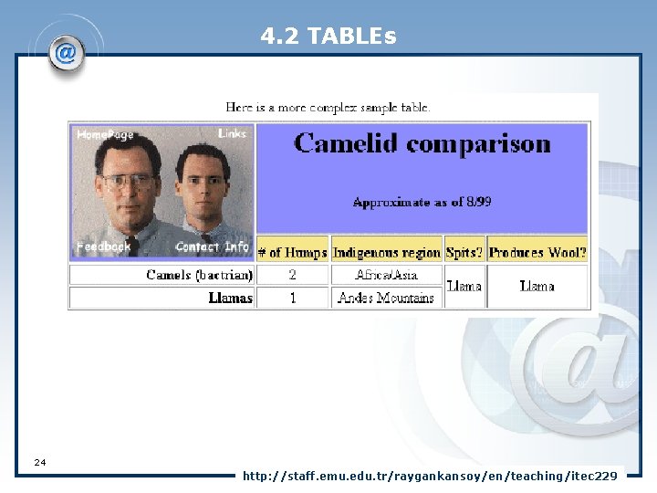 4. 2 TABLEs 24 http: //staff. emu. edu. tr/raygankansoy/en/teaching/itec 229 