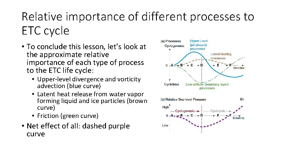 Relative importance of different processes to ETC cycle • To conclude this lesson, let’s
