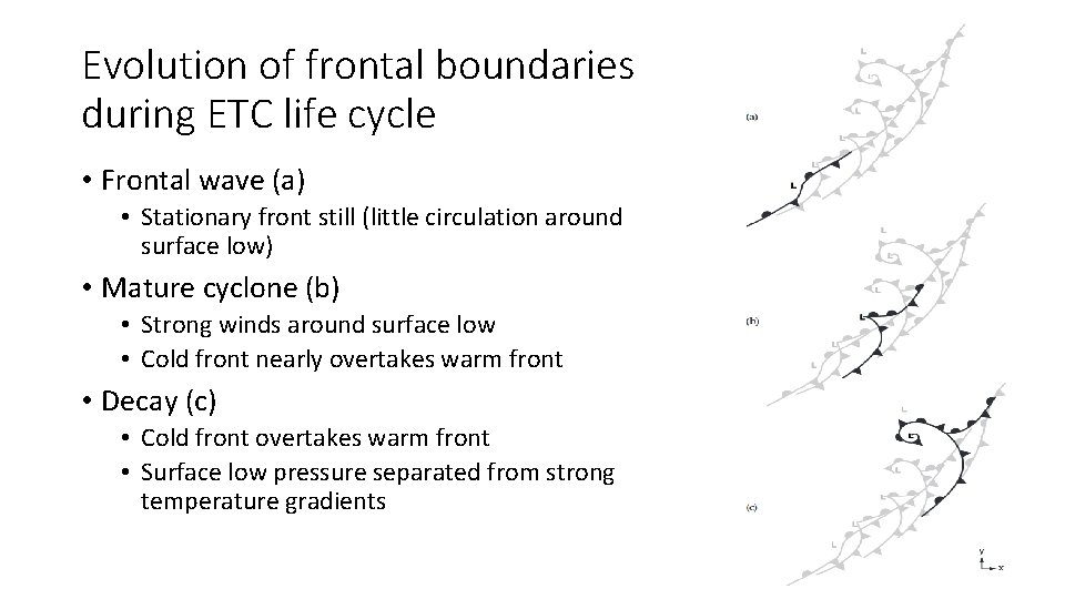 Evolution of frontal boundaries during ETC life cycle • Frontal wave (a) • Stationary