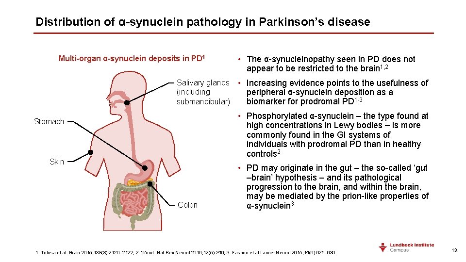 Distribution of α-synuclein pathology in Parkinson’s disease Multi-organ α-synuclein deposits in PD 1 •