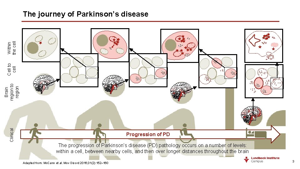 Clinical Brain region to region Cell to cell Within the cell The journey of Clinical Brain region to region Cell to cell Within the cell The journey of