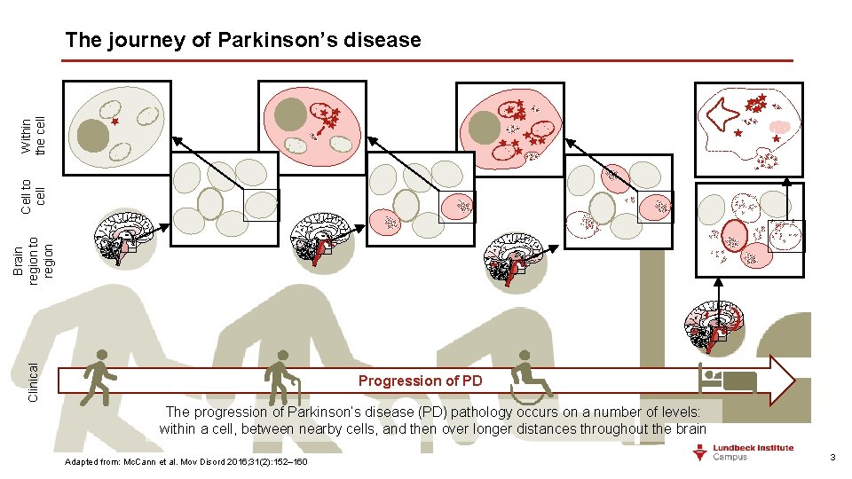 Clinical Brain region to region Cell to cell Within the cell The journey of