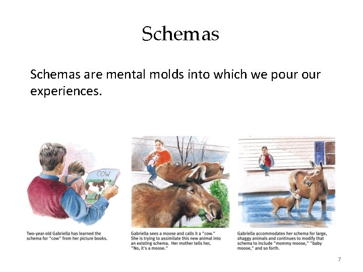 Schemas are mental molds into which we pour experiences. 7 